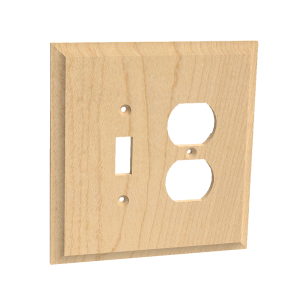 Single Switch and Single Rocker Combo