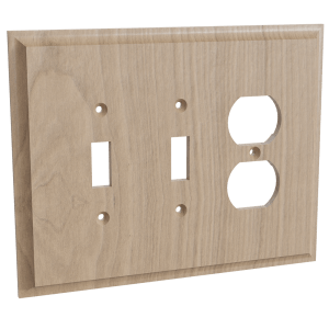 Double Switch and Single Receptacle Combo