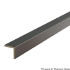 01110030TM1L.png