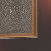 01110030inuse1.png