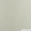 01-1652BW1L